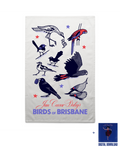 Birds of Brisbane | Tea Towel + Digital Download
